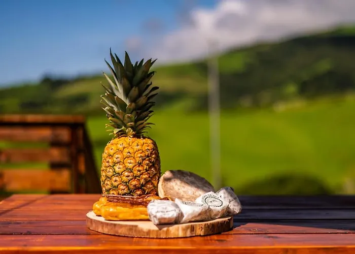 Casa Xadrez Nyaraló *