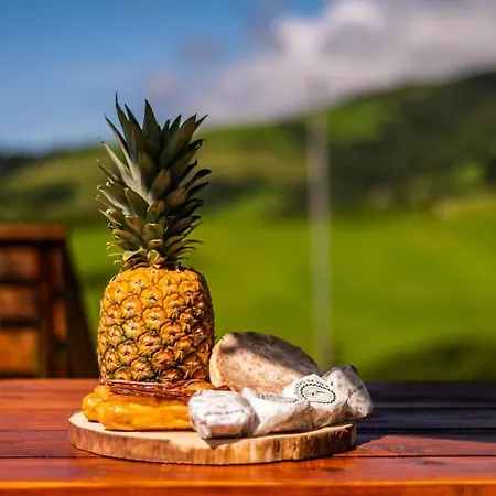 Casa Xadrez Casa de Férias *